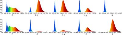 Effects of light spectrum on the morphophysiology and gene expression of lateral branching in Pepino (Solanum muricatum)